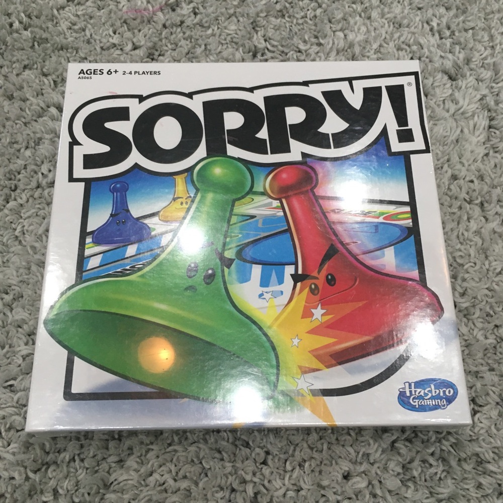 THE SORRY GAME